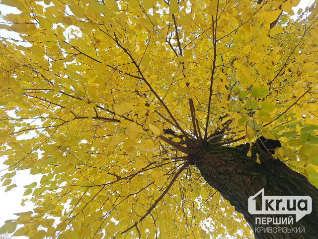 Какой будет погода в Кривом Роге 29 октября