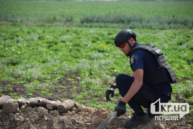 За неделю пиротехники уничтожили боеприпасы в шести общинах Криворожья