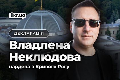 Что задекларировал народный избранник из Кривого Рога Владлен Неклюдов