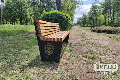 Конфликт из-за нецензурной брани в одном из парков Кривого Рога закончился дракой