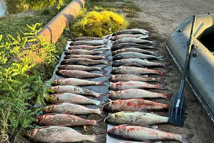 В Днепропетровской области незаконно выловили более 100 килограммов рыбы