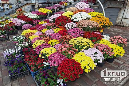 Какой будет погода в Кривом Роге 10 октября