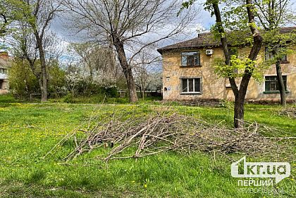 Криворожанам напоминают – кто должен убирать ветки возле домов