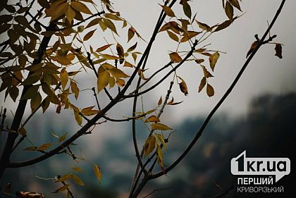 Какая будет погода в Кривом Роге 12 октября