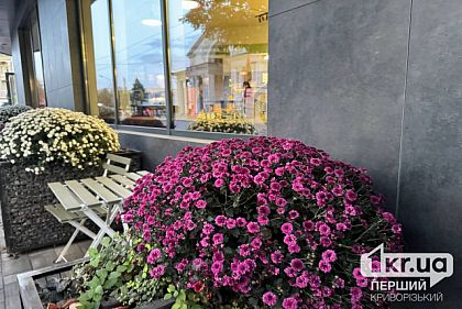 Перед выходными ожидается потепление: погода в Кривом Роге на неделю