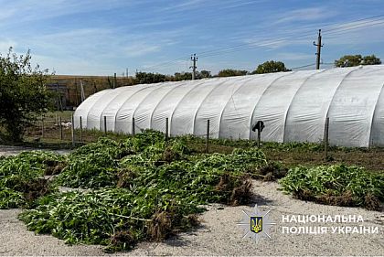 Полиция разоблачила наркоаграриев в Днепропетровской области
