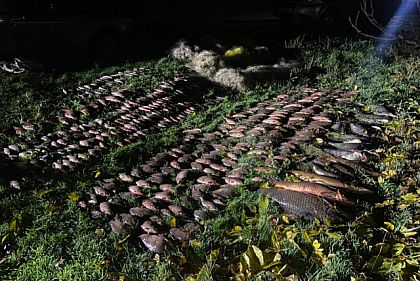 В Криворожье разоблачили браконьеров, которые незаконно выловили рыбы на сумму более 800 000 гривен