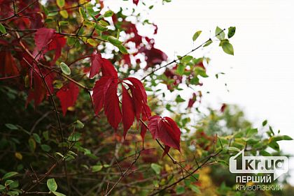 Погода в Кривом Роге 18 октября