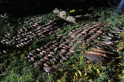 Сколько нарушителей поймали рыбоохранники Днепропетровщины в сентябре