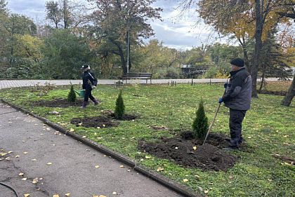 В криворожском парке посадили туи и елки