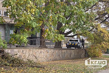 В Кривом Роге мужчина упал с многоэтажного дома