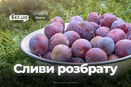 Как суд Кривого Рога наказал продавщицу рынка, которая ударила конкурентку из-за слив