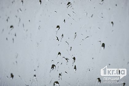 Возможен дождь: погода в Кривом Роге 24 октября