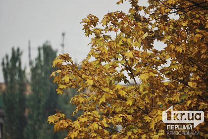 Погода в Кривом Роге 26 октября