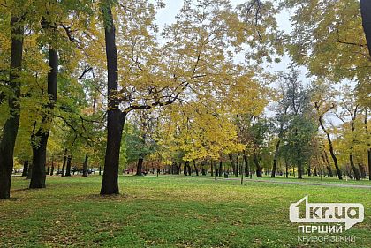 Какой будет погода в Кривом Роге 28 октября