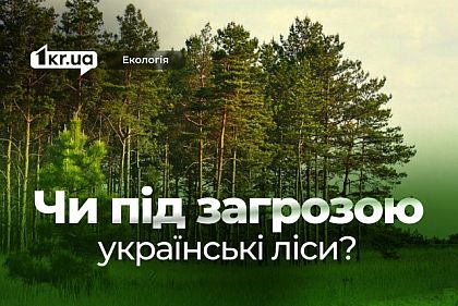 Лес — не поле кукурузы: почему экоэксперты выступают против отмены некоторых природоохранных ограничений
