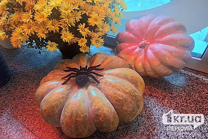 Какой будет погода в Кривом Роге 31 октября