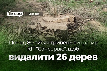 80 тысяч гривен за 26 деревьев: в Покровском районе Кривого Рога продолжается вырубка деревьев