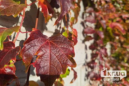 Какой будет погода в Кривом Роге 1 ноября