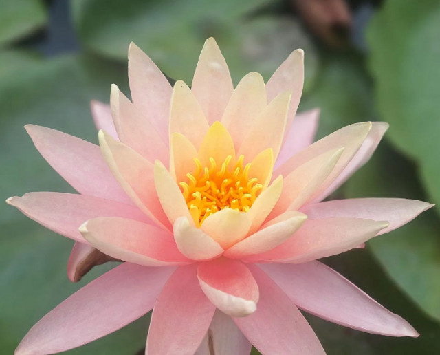 Какой погоды ждать криворожанам во вторые выходные августа