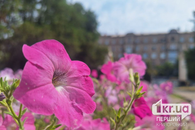 Якою буде погода в Кривому Розі 10 серпня