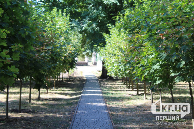 Ожидается повышение температуры: погода в Кривом Роге на неделю