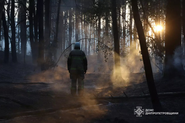 В Днепропетровской области потушили лесной пожар