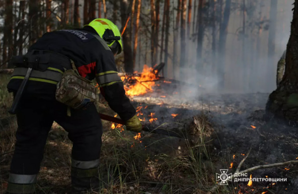 лесной пожар