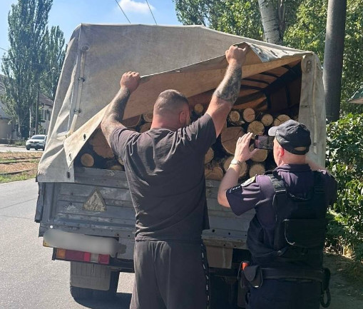 Патрульні Кривого Рогу виявили в автівці свіжоспиляні дрова без документів