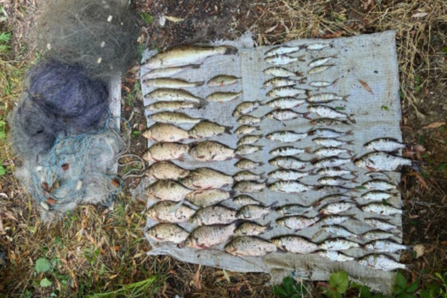 Сколько нарушений рыболовства выявили в Днепропетровской области за июль