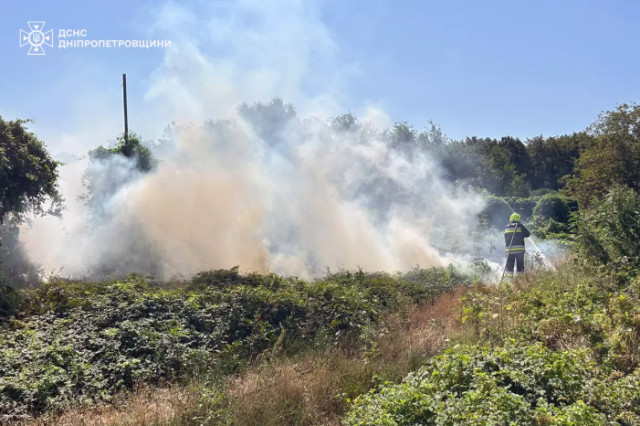 У Криворізькому районі за тиждень зросла кількість пожеж