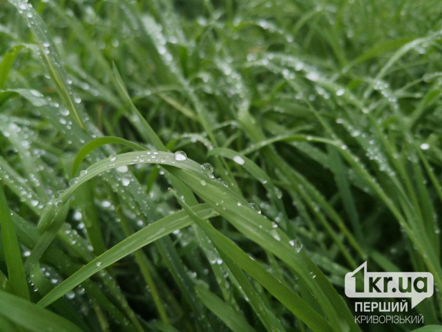 Какой будет погода в Кривом Роге 23 августа