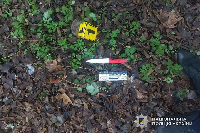 Дніпрянин отримав 6 років в`язниці за напад на знайомого з ножем