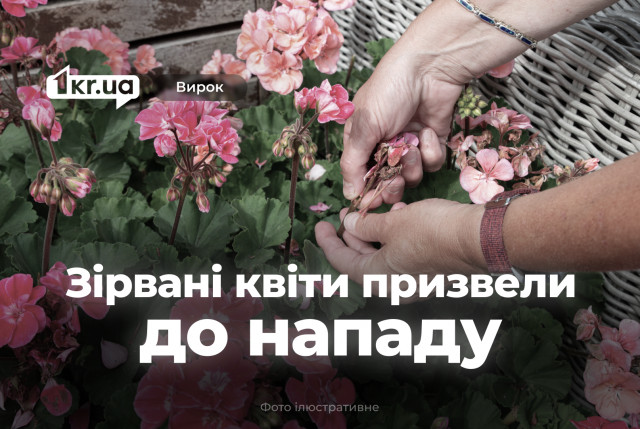 Супругов из Кривого Рога наказали за избиение женщины из-за сорванных цветов