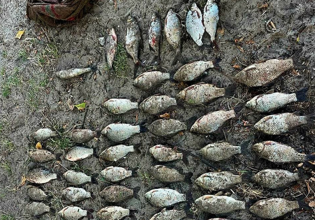 На Дніпропетровщині порушник наловив раків та риби на пів мільйона збитків