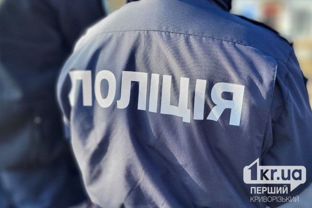 В Кривом Роге установили личности, избивших несовершеннолетнюю девушку