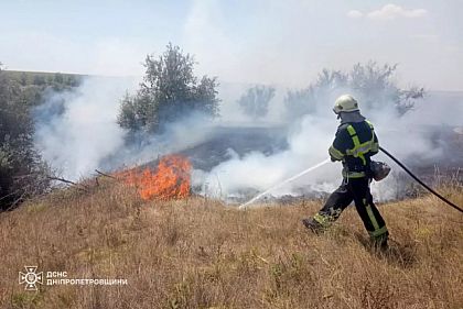 В Днепропетровской области за сутки огонь уничтожил более 55 га природных экосистем В Днепропетровской области за сутки огонь уничтожил более 55 га природных экосистем