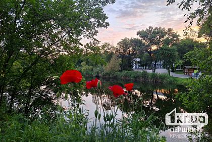 Яку погоду прогнозують у Кривому Розі 6 серпня