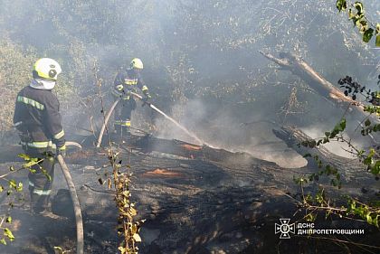 За тиждень майже третина пожеж в екосистемах Дніпропетровщини сталася на Криворіжжі