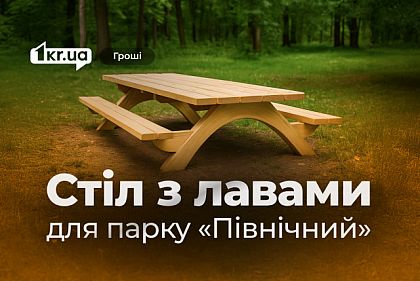Для парка Кривого Рога планируют закупить столы со скамейками
