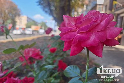 Спека спаде: погода у Кривому Розі 7 серпня Спека спаде: погода у Кривому Розі 7 серпня