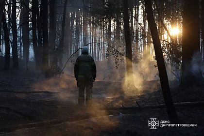 В Днепропетровской области потушили лесной пожар