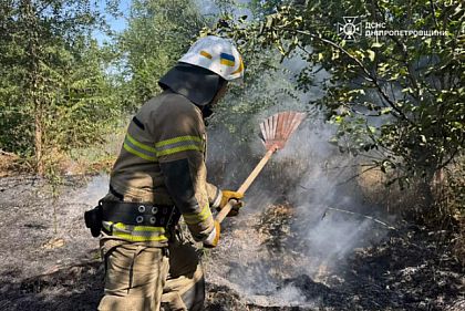 За сутки огонь уничтожил более 30 гектаров экосистем Днепропетровщины