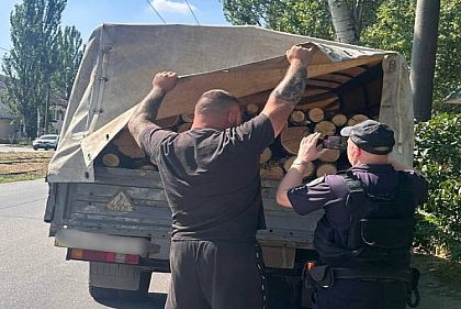 Патрульные Кривого Рога обнаружили в машине свежеспиленные дрова без документов