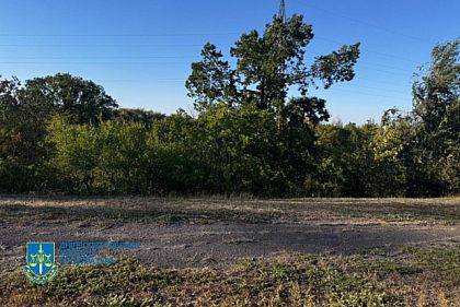 Криворожская прокуратура вернула государству 72 гектара незаконно изъятых лесных земель