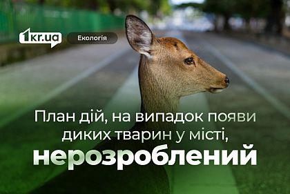Есть ли в Кривом Роге план действий на случай появления диких животных в городе