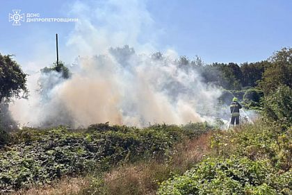 В Криворожском районе за неделю выросло количество пожаров