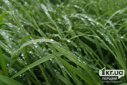 Какой будет погода в Кривом Роге 23 августа