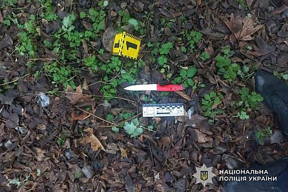 Днепрянин получил 6 лет тюрьмы за нападение на знакомого с ножом