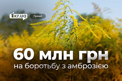 В Кривом Роге выделили рекордные средства на борьбу с амброзией